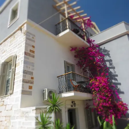 Axilleion Boutique Guest house 3*