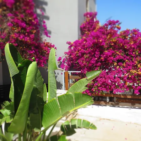 Axilleion Boutique Guest house Ermoupoli